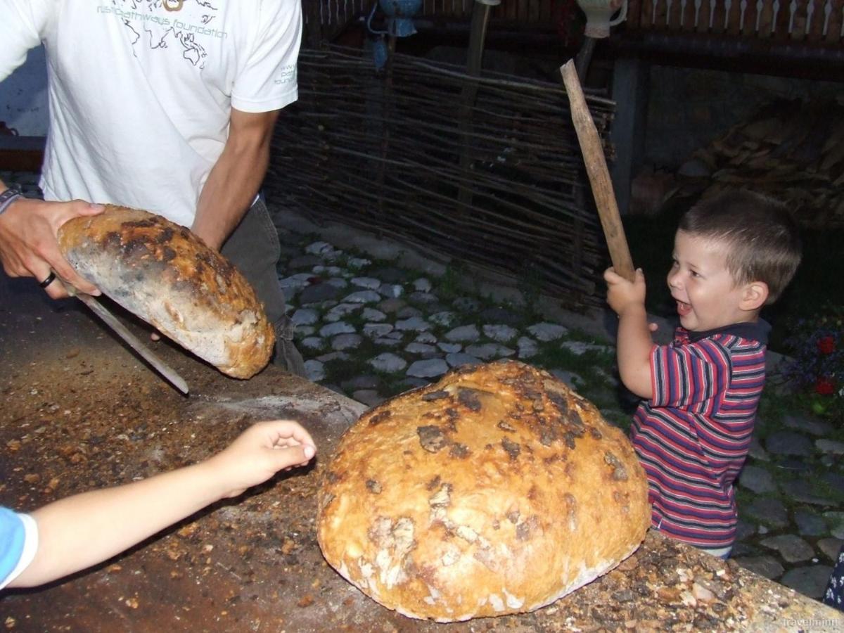 Pensiunea Aranyos Rimetea Εξωτερικό φωτογραφία
